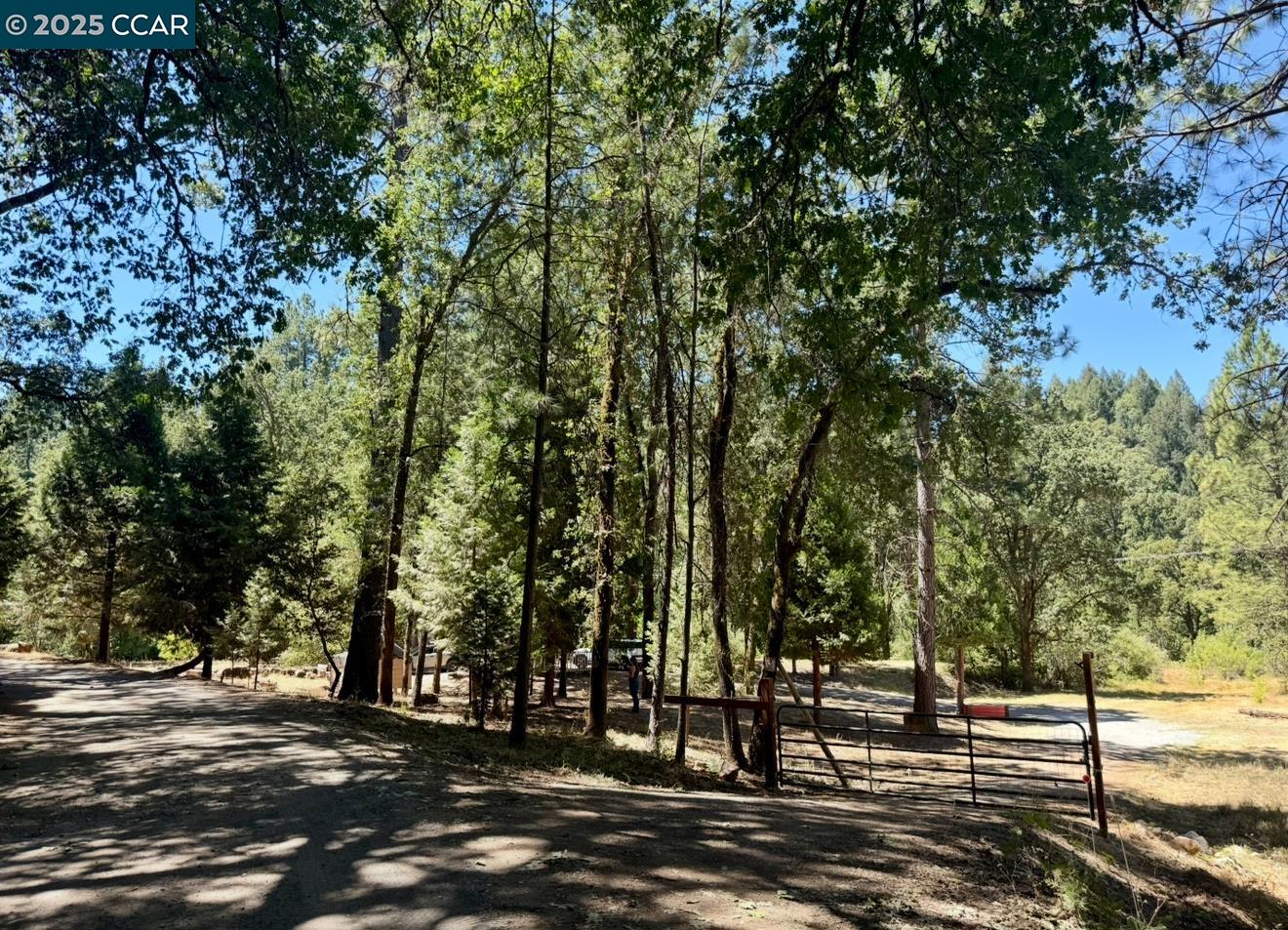 4578 Pretty Good Road Placerville, CA 95667 - Photo 2 of 25 a view of a yard