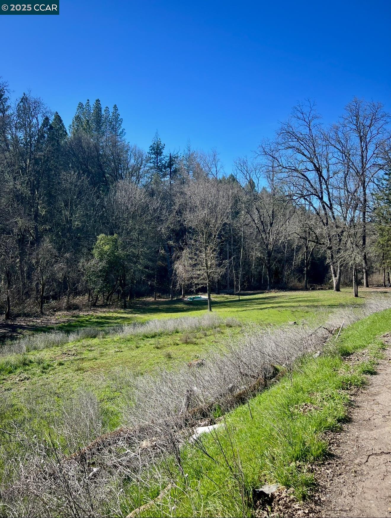 4578 Pretty Good Road Placerville, CA 95667 - Photo 24 of 25 a view of a backyard with large trees