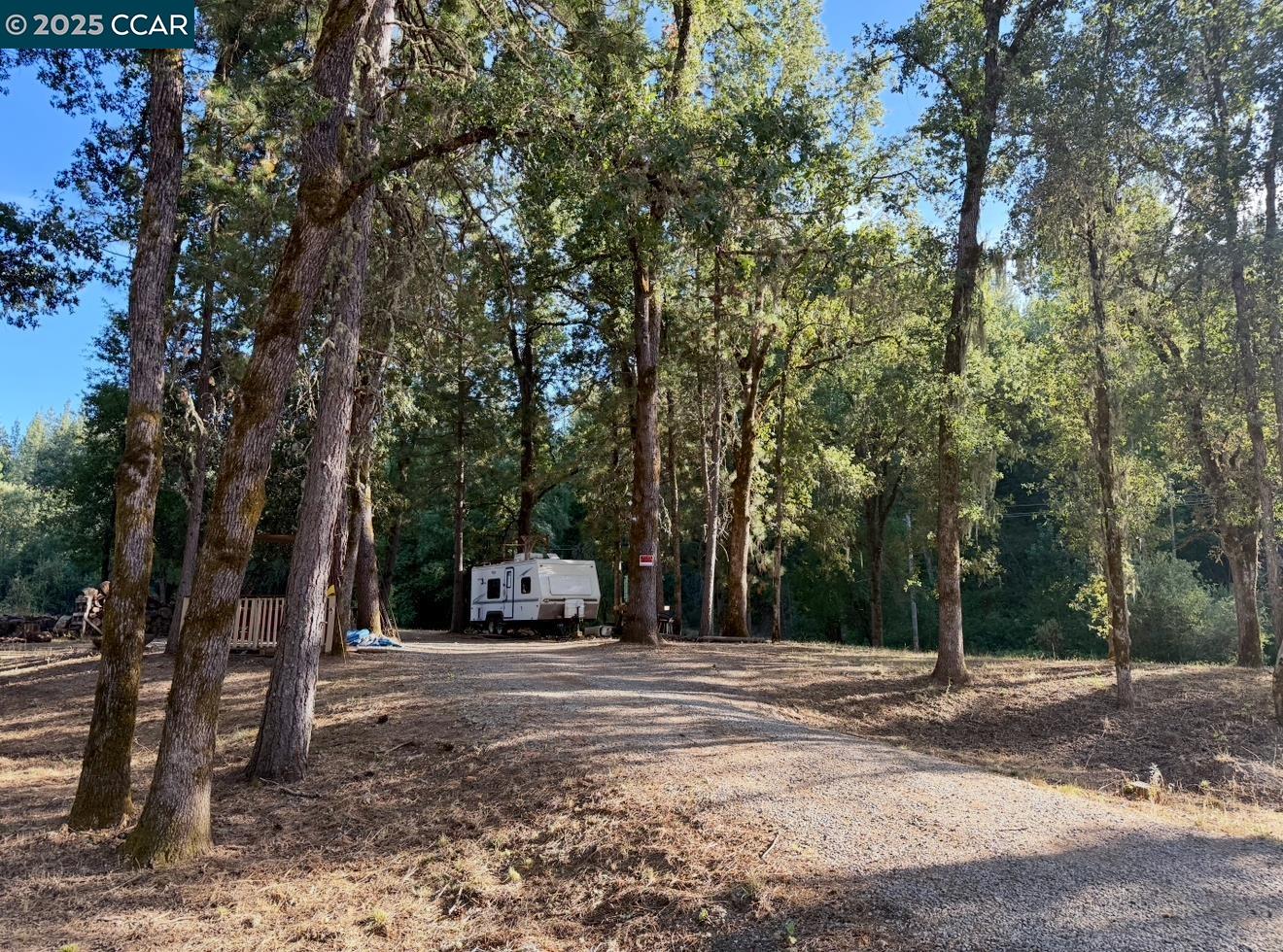4578 Pretty Good Road Placerville, CA 95667 - Photo 5 of 25 a view of street with trees