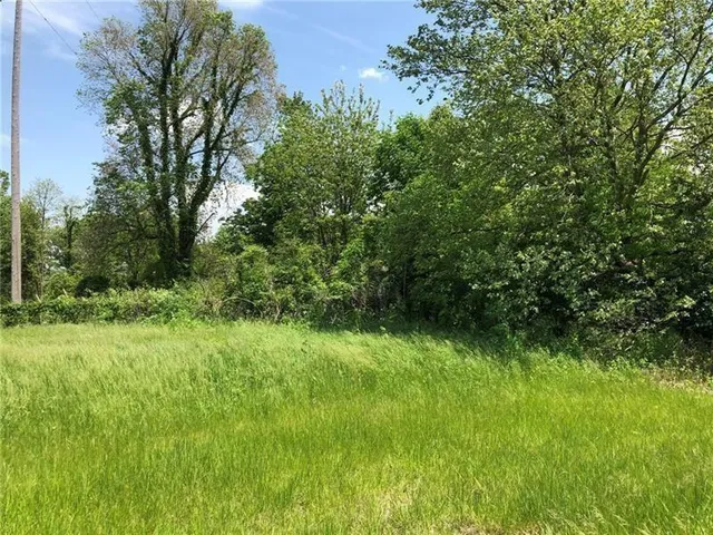 a view of a lush green space