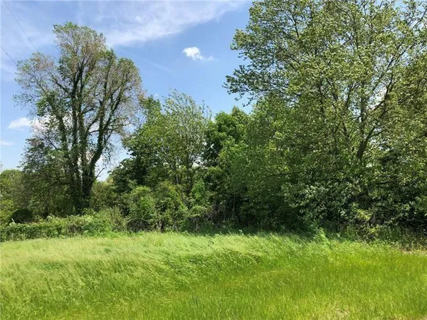 a view of a lush green space