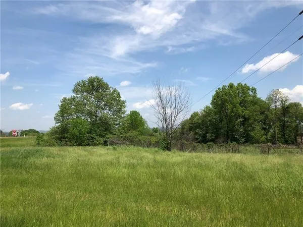 a view of a grassy field with trees in the background