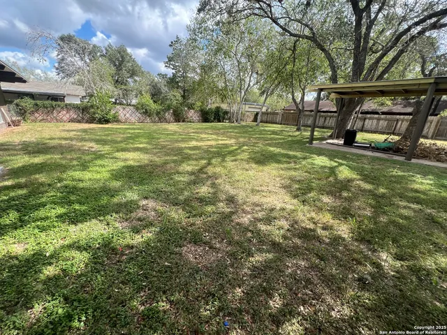 a view of a trees in a yard