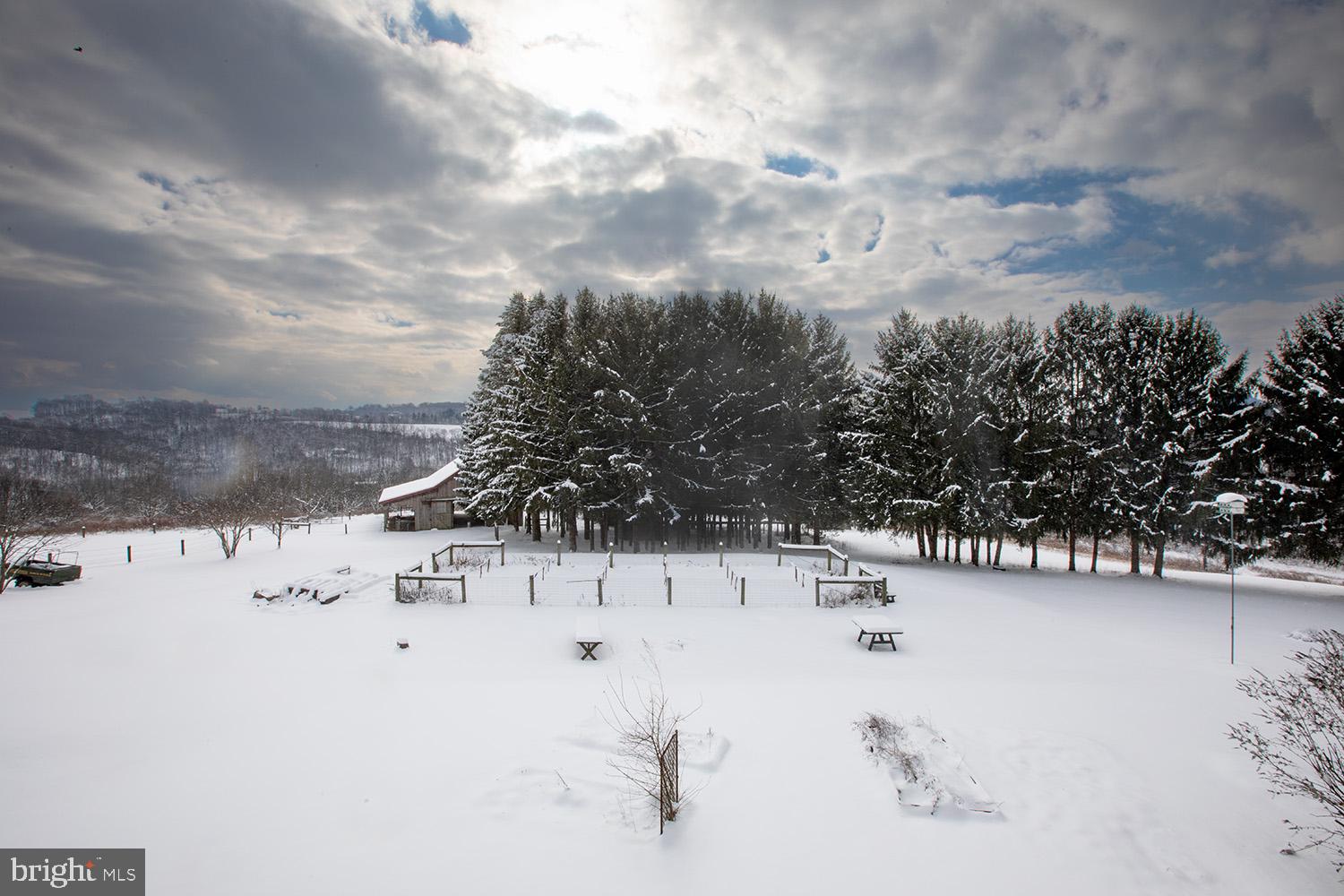 220 Dietrich Road Kempton, PA 19529 - Photo 11 of 90 Human fooseball or make a garden
