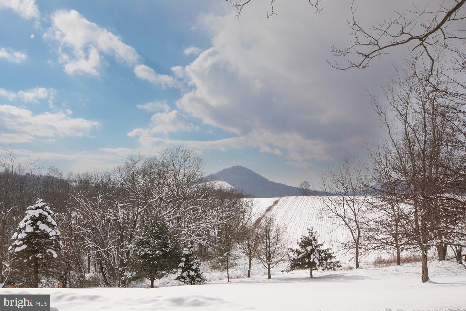 220 Dietrich Road Kempton, PA 19529 - Photo 6 of 90 View