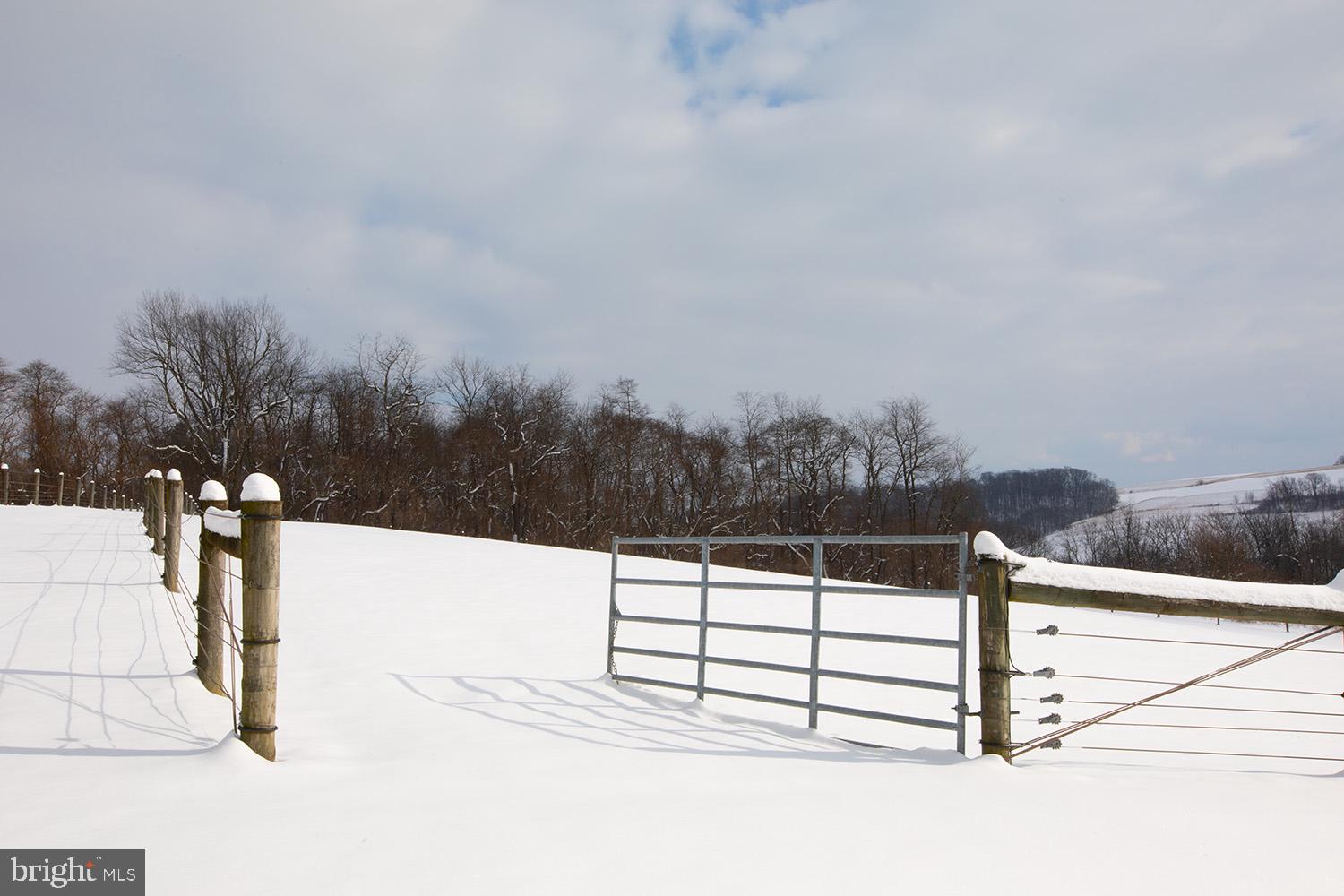 220 Dietrich Road Kempton, PA 19529 - Photo 68 of 90