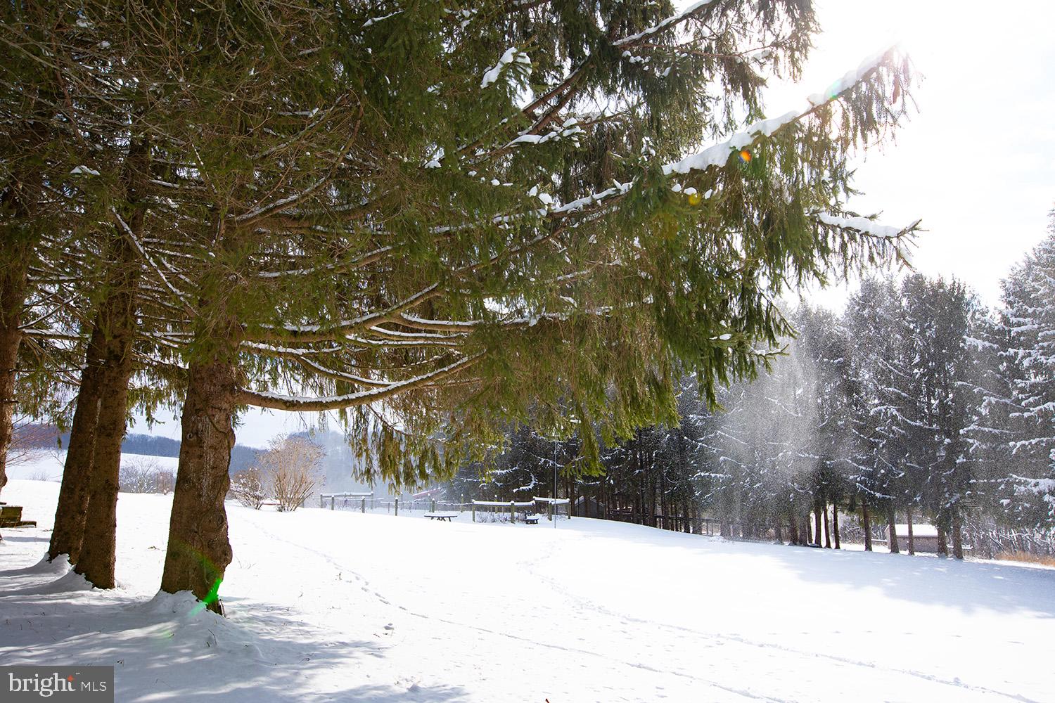 220 Dietrich Road Kempton, PA 19529 - Photo 78 of 90 a view of a yard covered with snow on the road