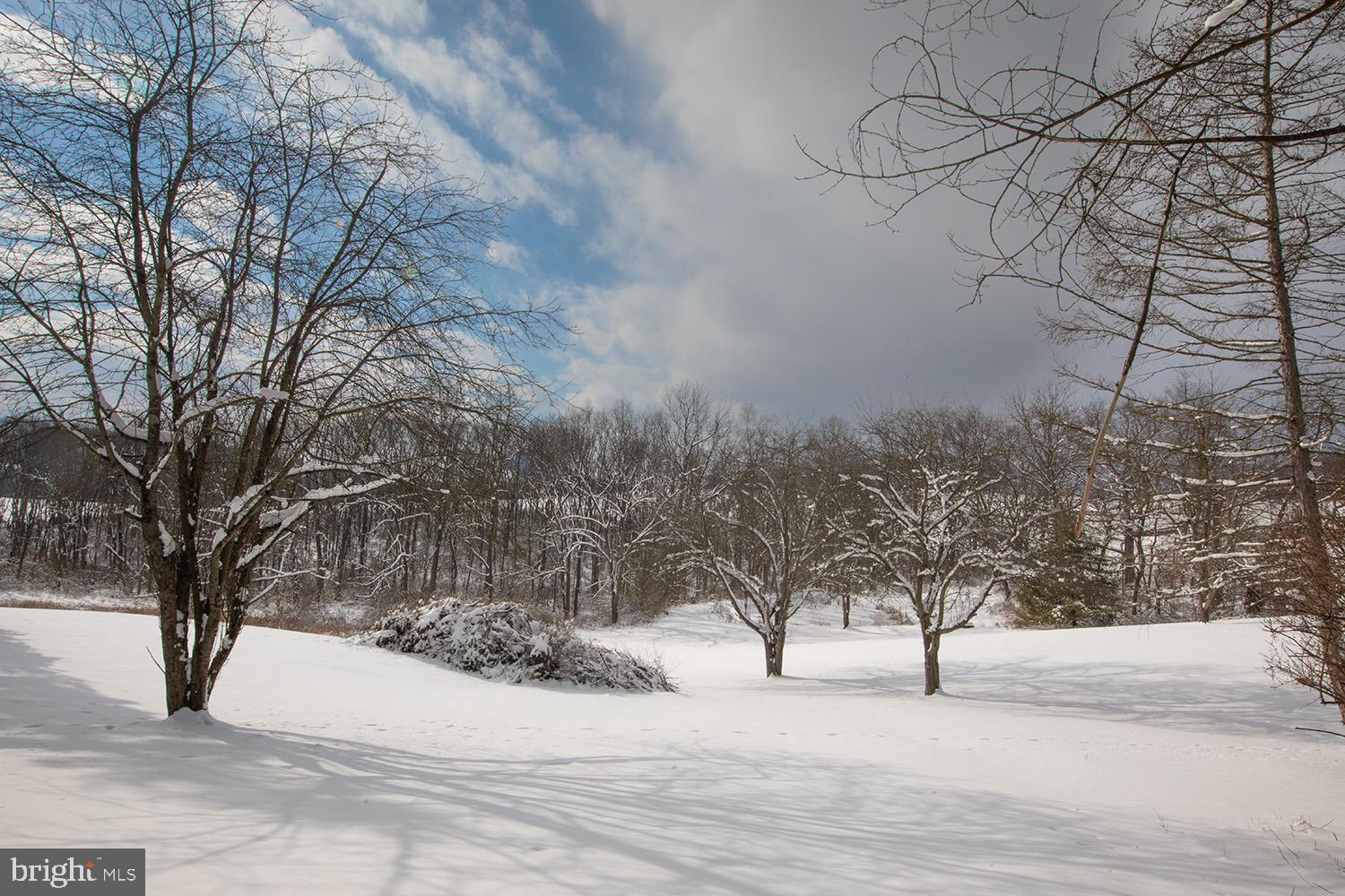 220 Dietrich Road Kempton, PA 19529 - Photo 79 of 90