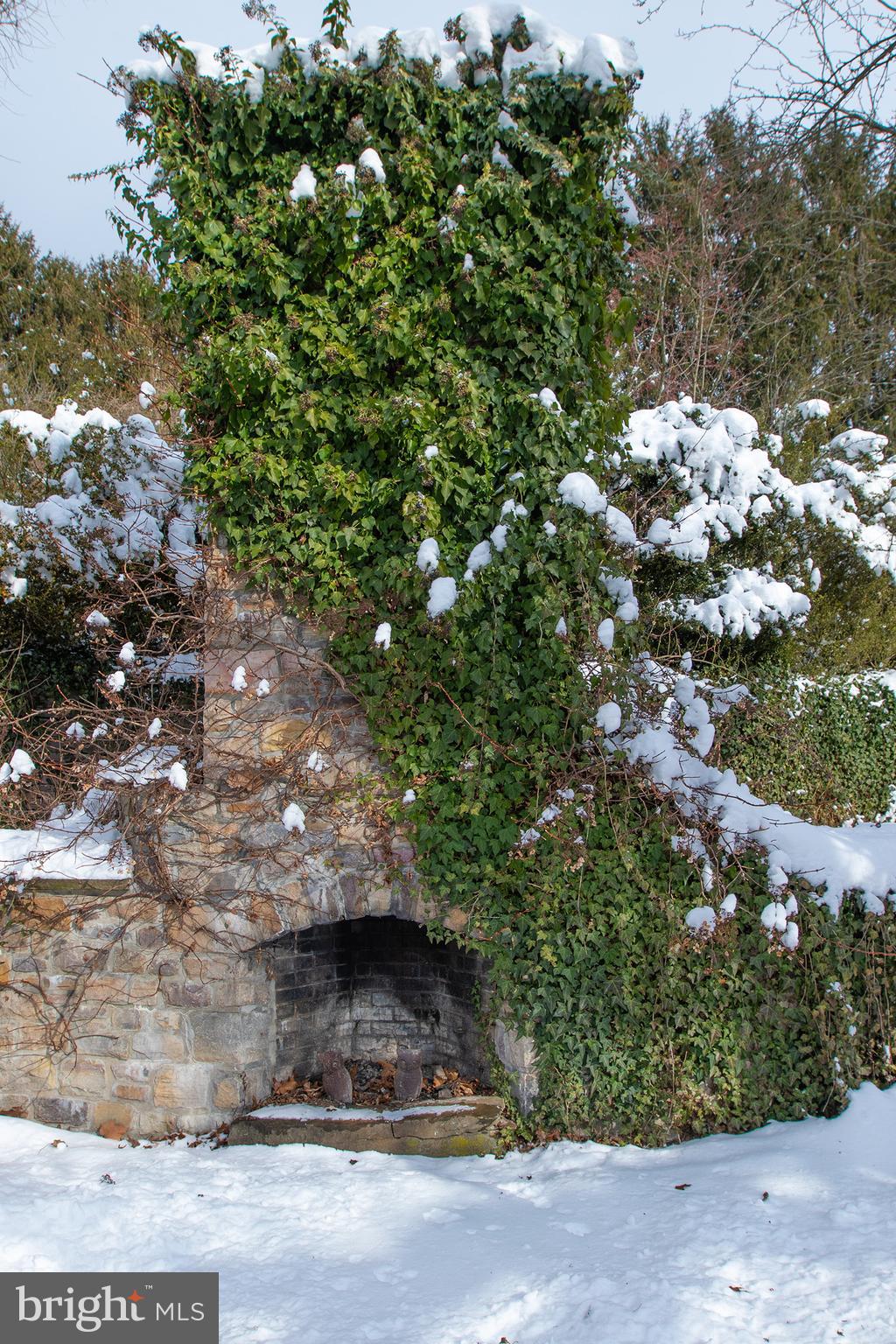 220 Dietrich Road Kempton, PA 19529 - Photo 83 of 90 a view of a tree with a tree