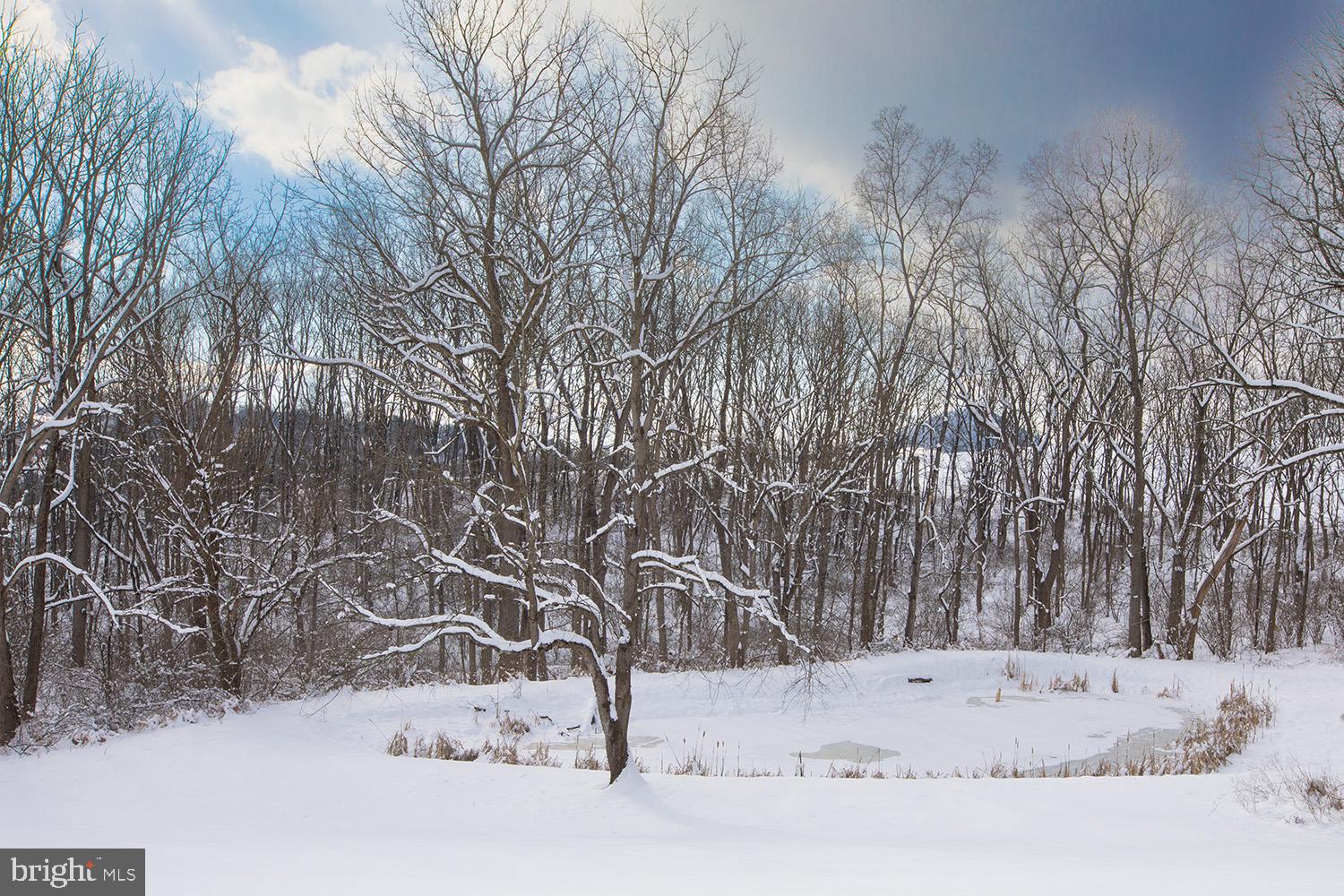 220 Dietrich Road Kempton, PA 19529 - Photo 9 of 90