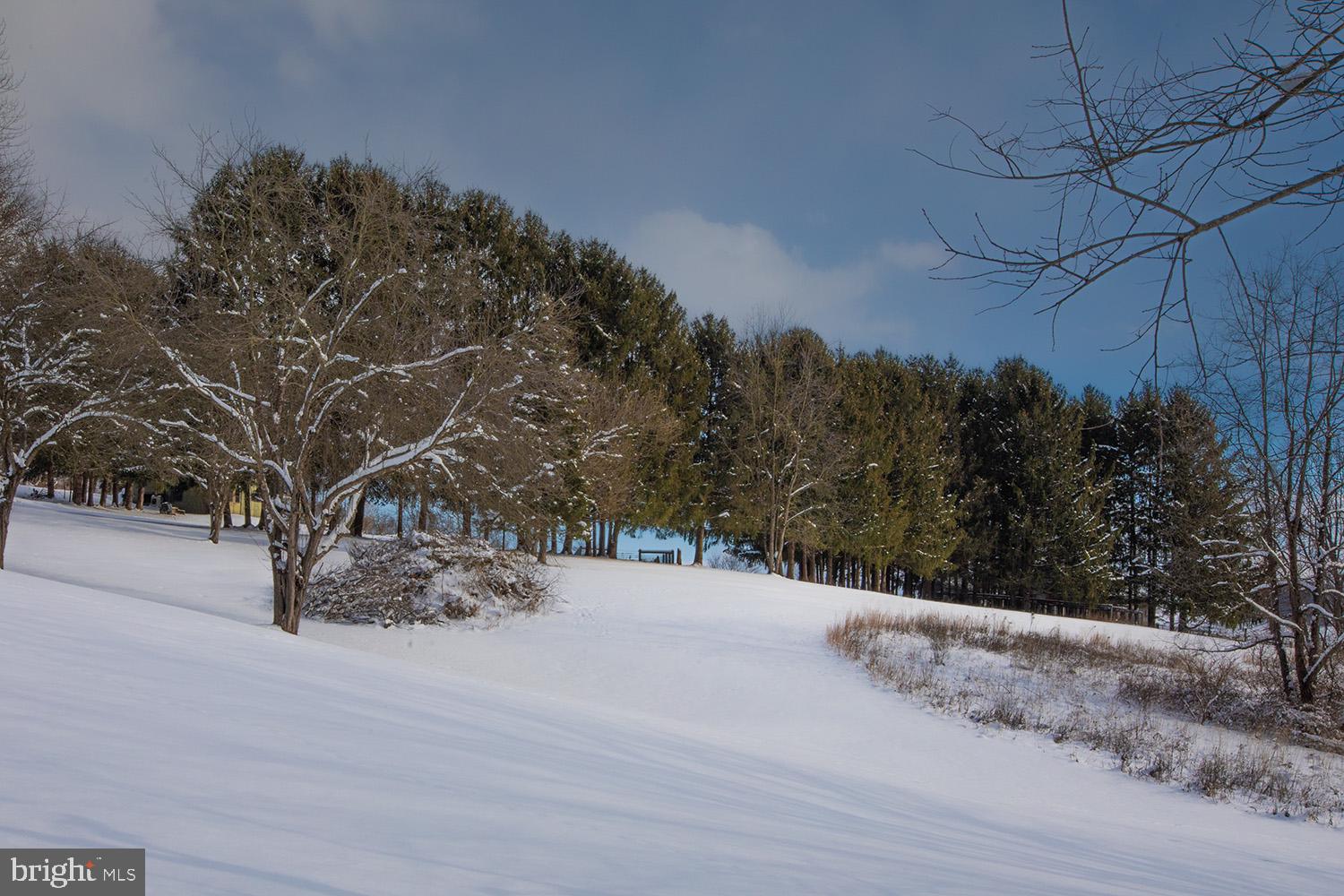 220 Dietrich Road Kempton, PA 19529 - Photo 10 of 90 a view of a snow on the side of the road