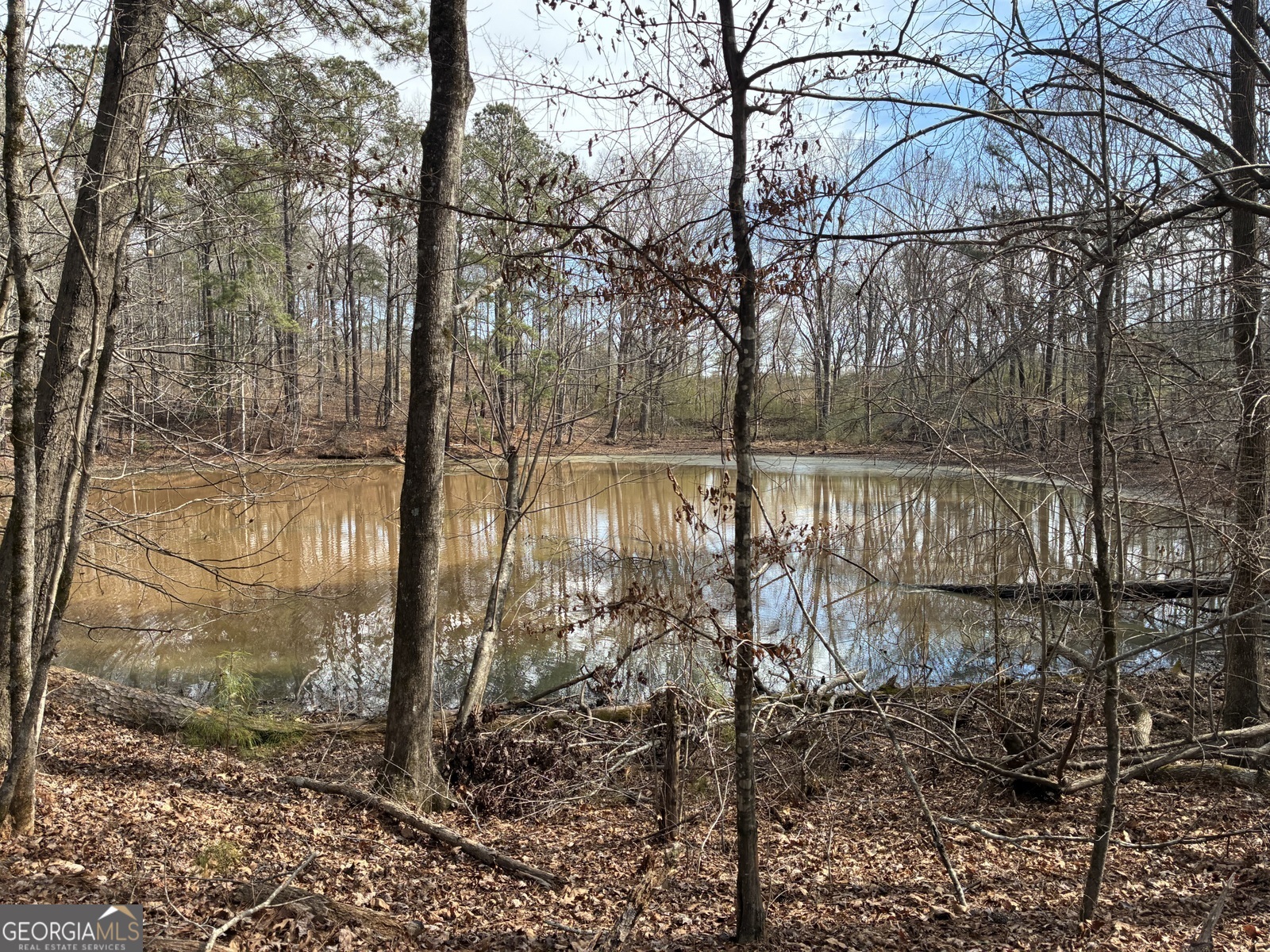 a view of a yard next to a yard