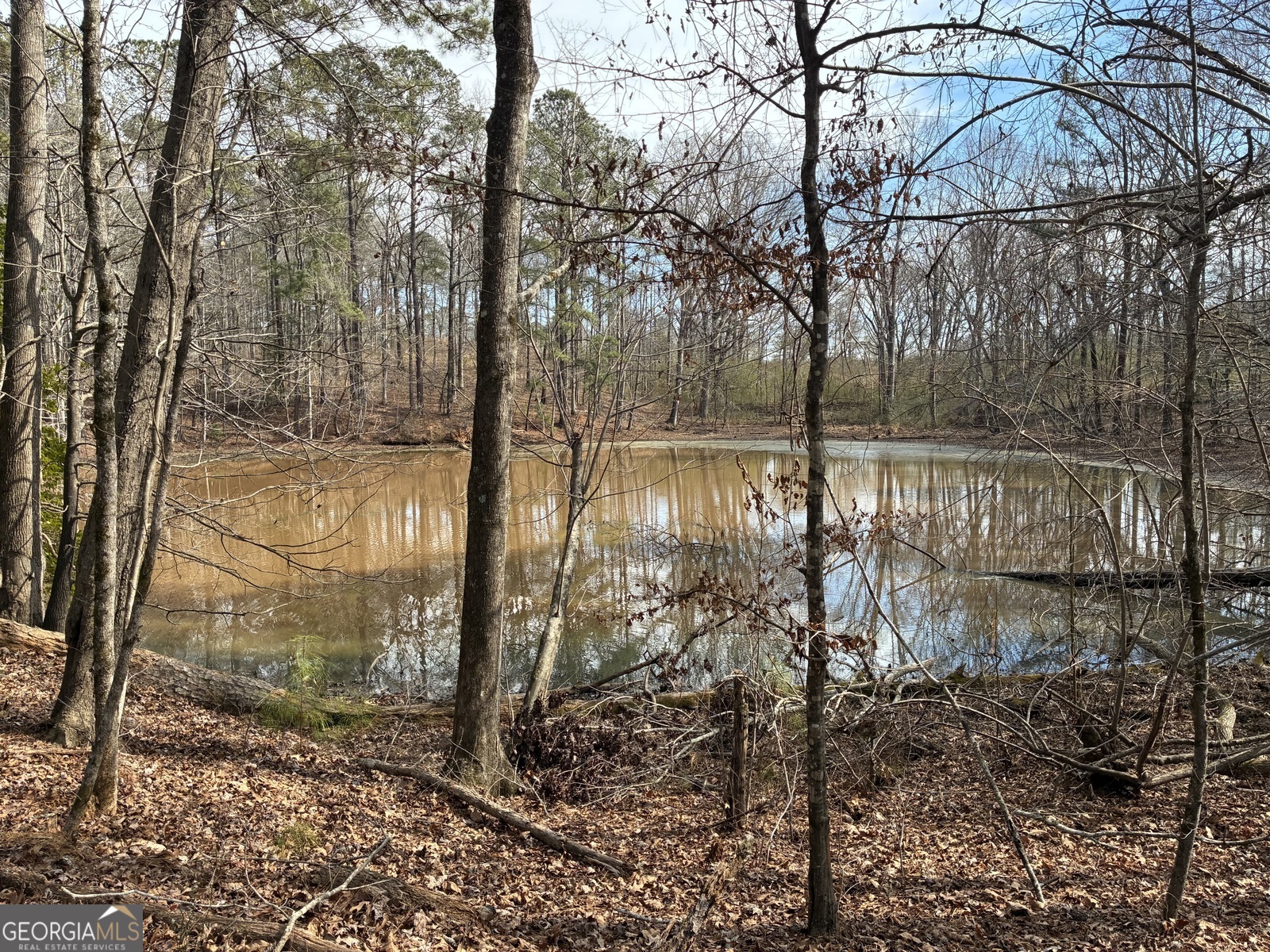500 Askin Place Culloden, GA 31016 - Photo 2 of 4 a lake view with large trees