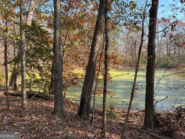 a view of outdoor space and trees