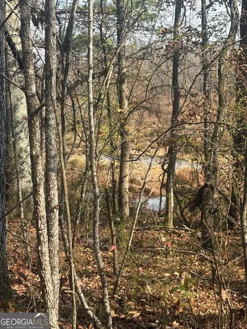 a backyard of a house with lots of trees