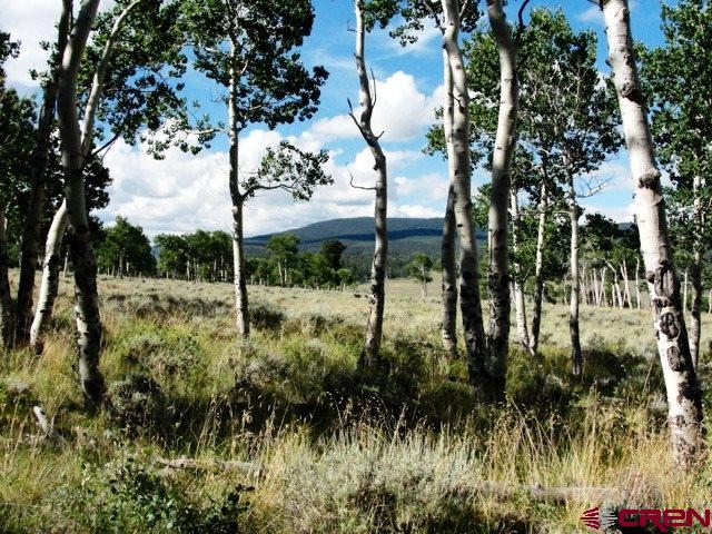 Tbd 80 Cardwell Draw Road Powderhorn, CO 81243 - Photo 2 of 25 Gallery Image 2