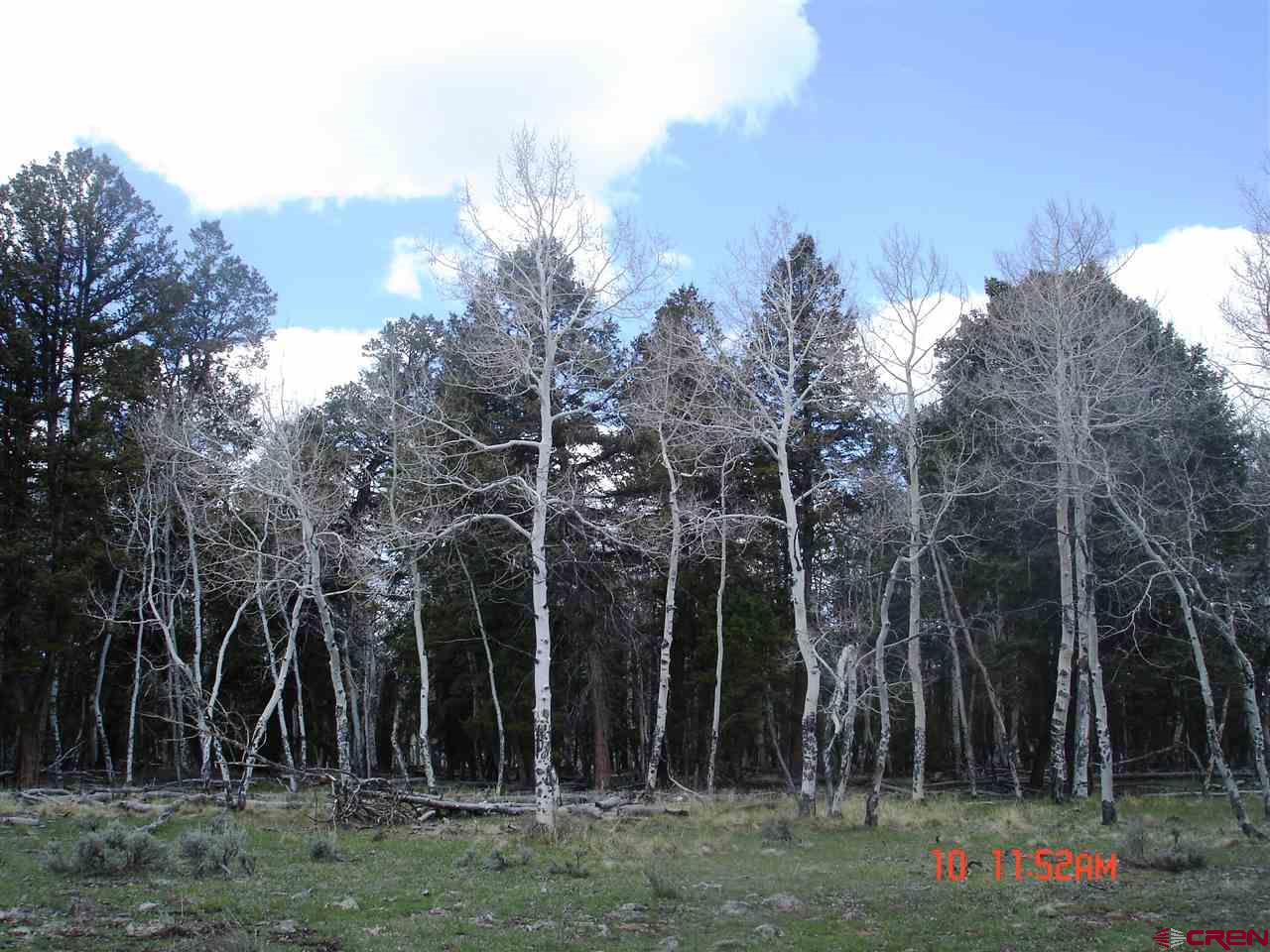 Tbd 80 Cardwell Draw Road Powderhorn, CO 81243 - Photo 11 of 25 Gallery Image 11