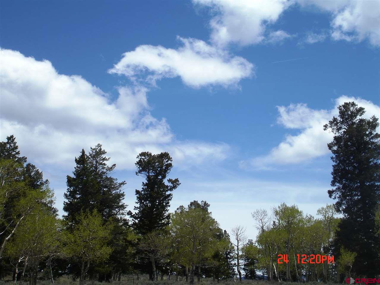 Tbd 80 Cardwell Draw Road Powderhorn, CO 81243 - Photo 12 of 25 Gallery Image 12
