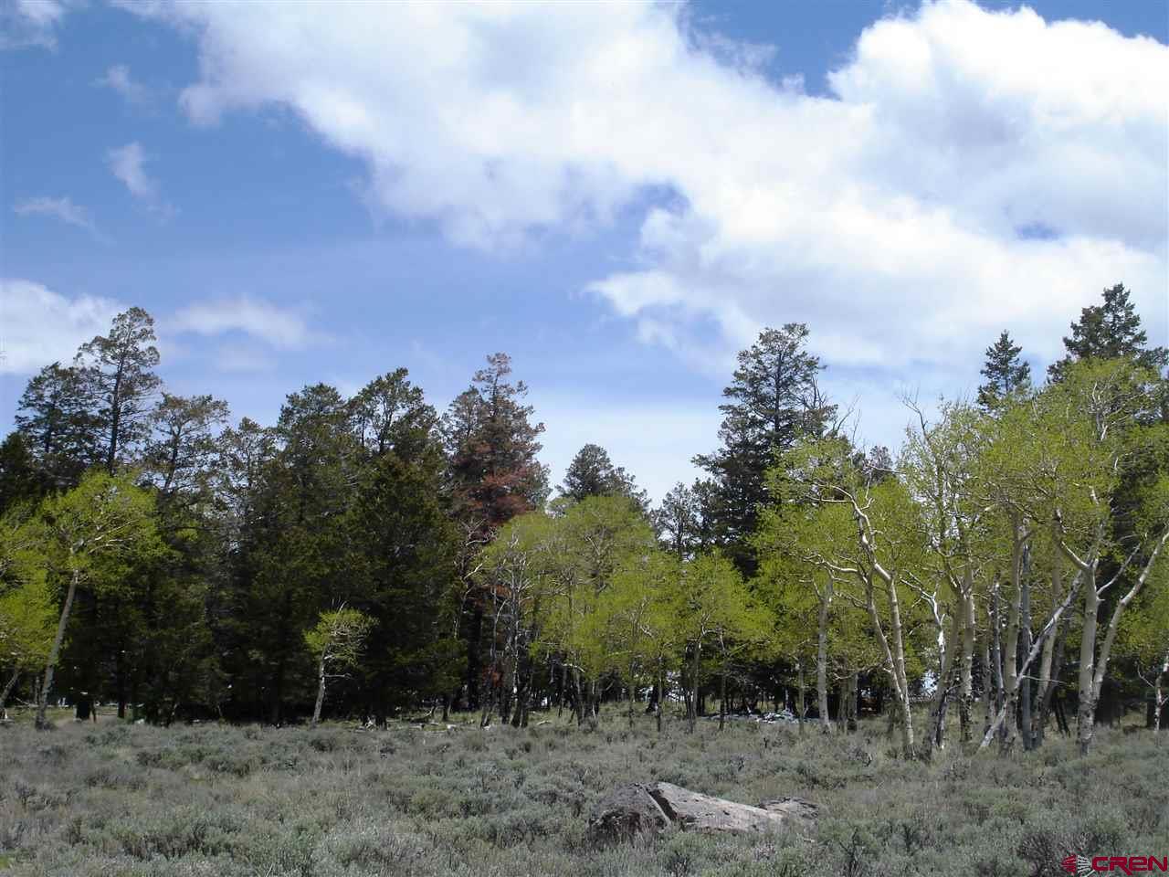 Tbd 80 Cardwell Draw Road Powderhorn, CO 81243 - Photo 13 of 25 Gallery Image 13
