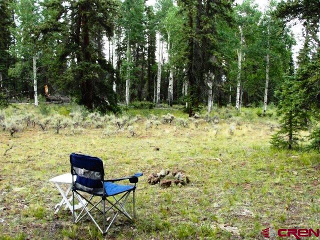 Tbd 80 Cardwell Draw Road Powderhorn, CO 81243 - Photo 14 of 25 Gallery Image 14