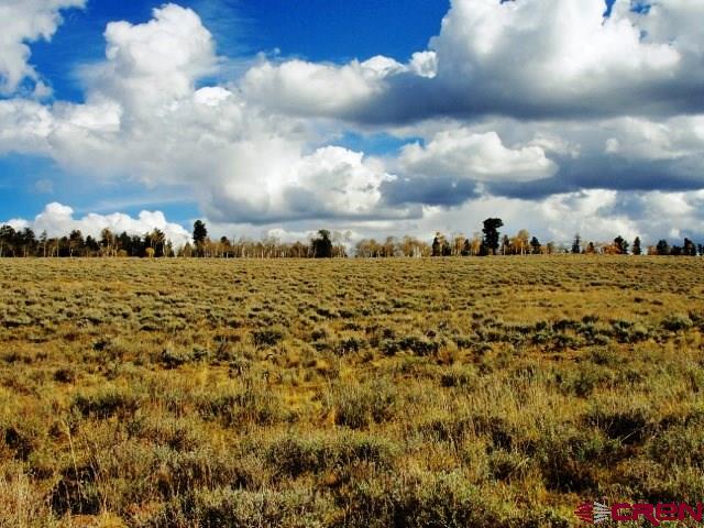 Tbd 80 Cardwell Draw Road Powderhorn, CO 81243 - Photo 15 of 25 Gallery Image 15