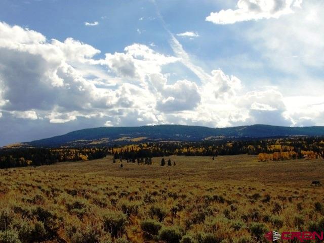 Tbd 80 Cardwell Draw Road Powderhorn, CO 81243 - Photo 16 of 25 Gallery Image 16