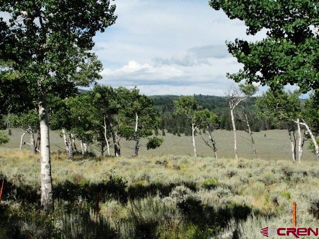 Tbd 80 Cardwell Draw Road Powderhorn, CO 81243 - Photo 19 of 25 Gallery Image 19