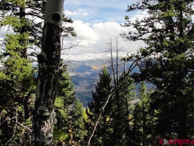 Tbd 80 Cardwell Draw Road Powderhorn, CO 81243 - Photo 20 of 25 Gallery Image 20