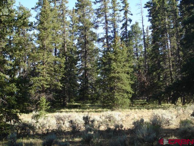 Tbd 80 Cardwell Draw Road Powderhorn, CO 81243 - Photo 3 of 25 Gallery Image 3