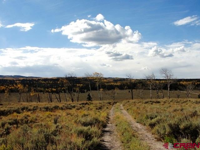 Tbd 80 Cardwell Draw Road Powderhorn, CO 81243 - Photo 21 of 25 Gallery Image 21