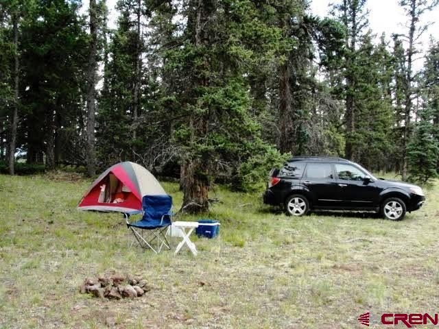 Tbd 80 Cardwell Draw Road Powderhorn, CO 81243 - Photo 22 of 25 Gallery Image 22