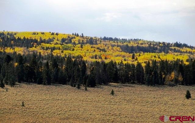 Tbd 80 Cardwell Draw Road Powderhorn, CO 81243 - Photo 23 of 25 Gallery Image 23