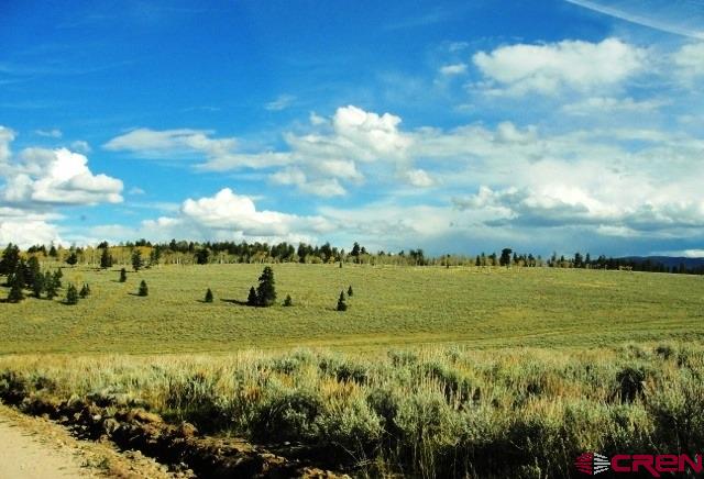 Tbd 80 Cardwell Draw Road Powderhorn, CO 81243 - Photo 24 of 25 Gallery Image 24