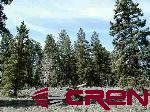 Tbd 80 Cardwell Draw Road Powderhorn, CO 81243 - Photo 4 of 25 Gallery Image 4