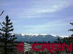Tbd 80 Cardwell Draw Road Powderhorn, CO 81243 - Photo 5 of 25 Gallery Image 5