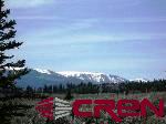 Tbd 80 Cardwell Draw Road Powderhorn, CO 81243 - Photo 6 of 25 Gallery Image 6