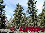 Tbd 80 Cardwell Draw Road Powderhorn, CO 81243 - Photo 8 of 25 Gallery Image 8