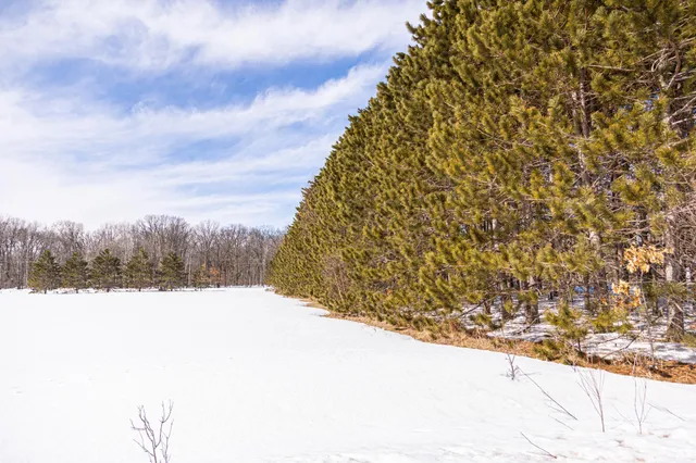 $70,000 | 0 Mid River Road, Pine City, MN 55063