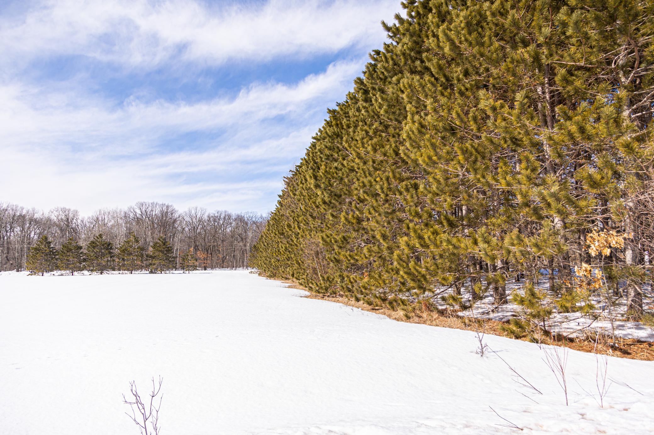 0 Mid River Road Pine City, MN 55063 - Photo 2 of 8