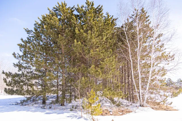 $70,000 | 0 Mid River Road, Pine City, MN 55063