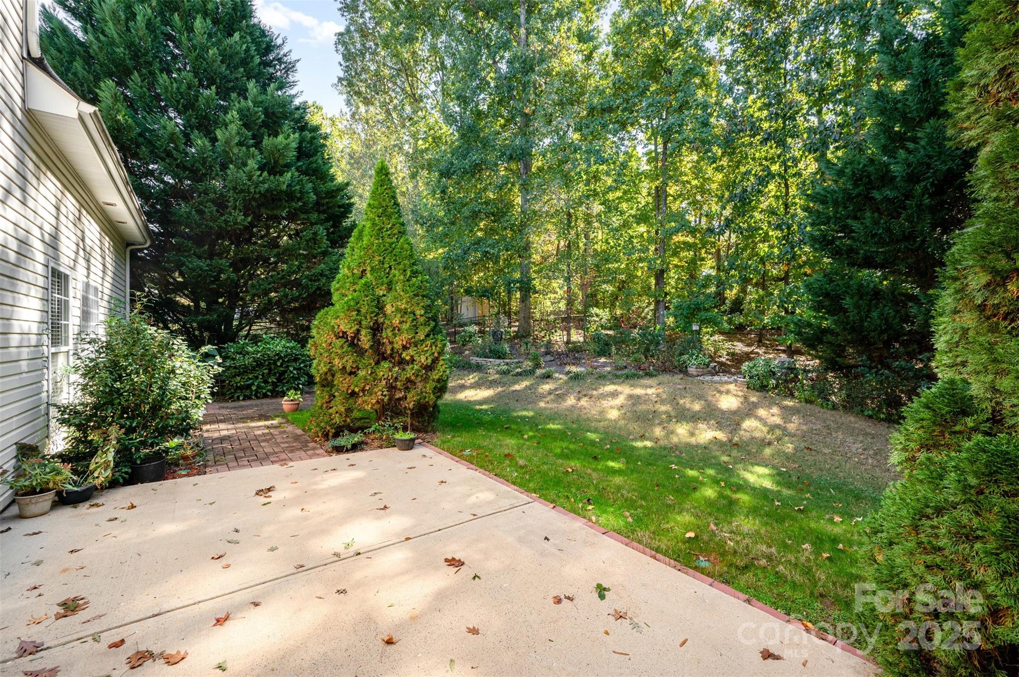 445 Buttermere Road Fort Mill, SC 29715 - Photo 25 of 35 a view of backyard with green space