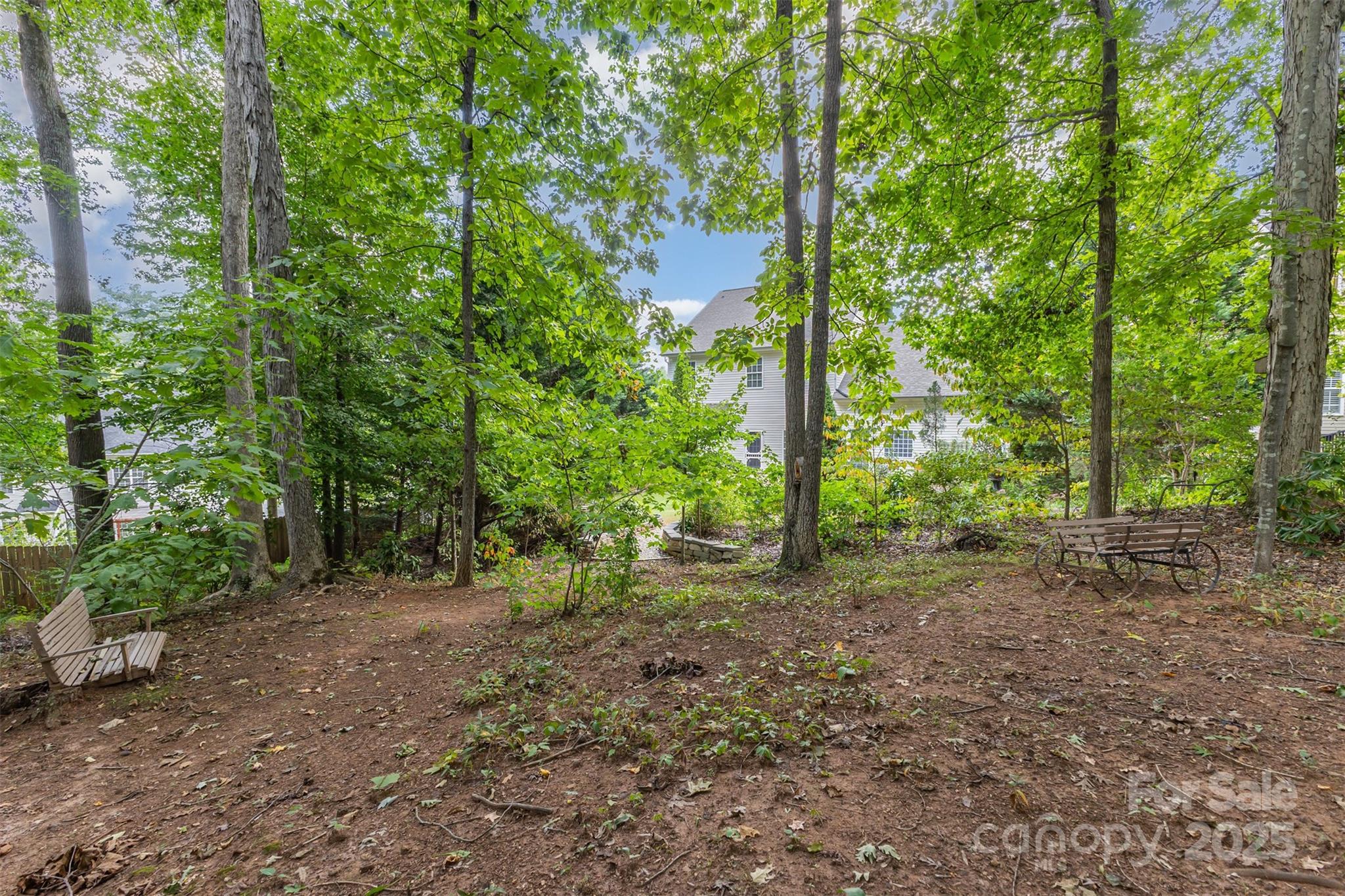 445 Buttermere Road Fort Mill, SC 29715 - Photo 38 of 42 a view of a forest with trees in the background
