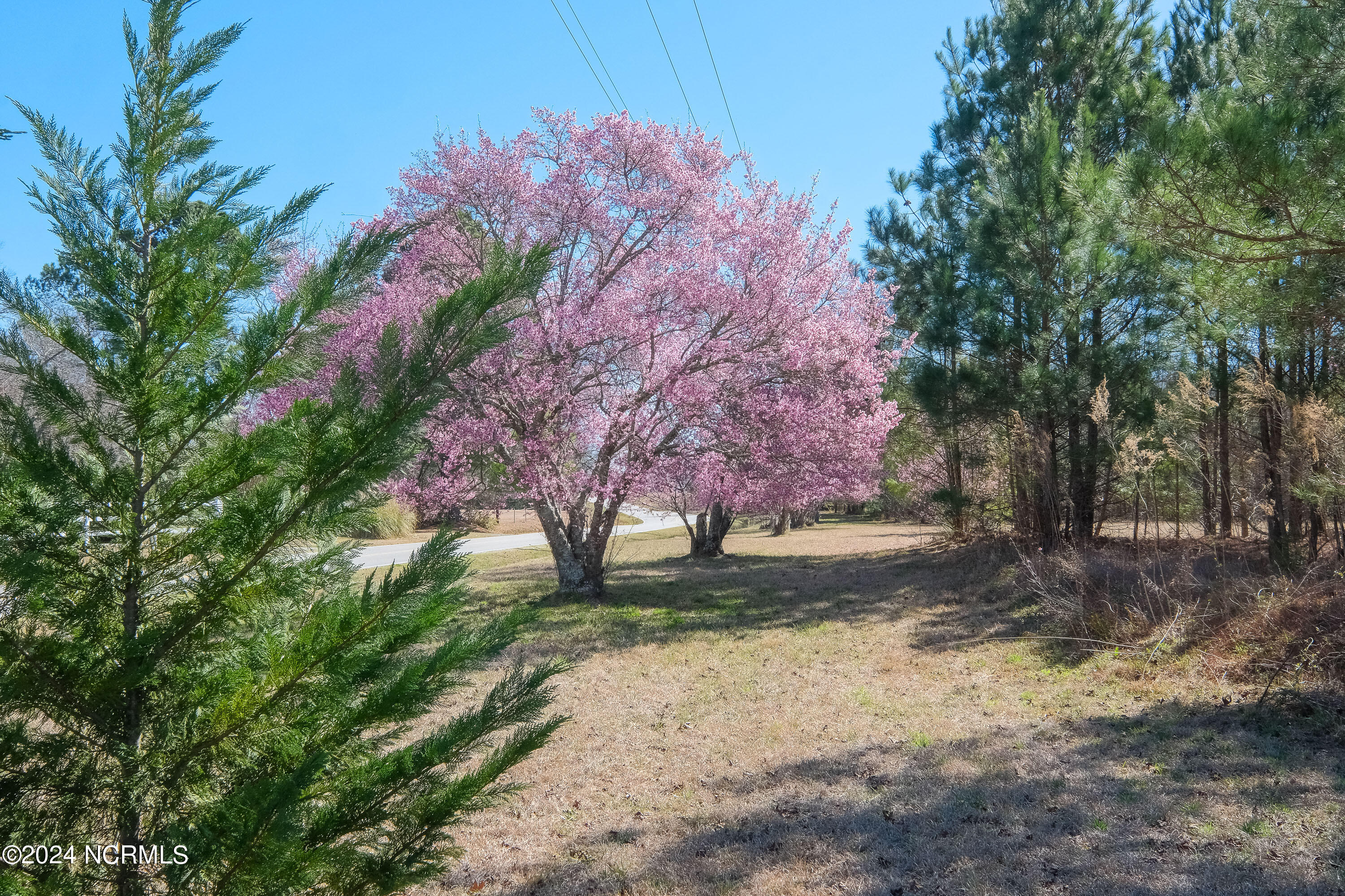 251 Cowpen Neck Road Edenton, NC 27932 - Photo 58 of 61 240219-DSCF5680