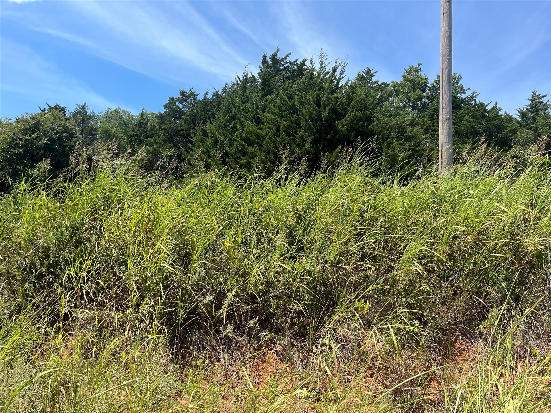 0 Range Road Perry, OK 73077 - Photo 26 of 32 Overgrown natural landscape featuring a variety of green foliage and a clear blue sky
