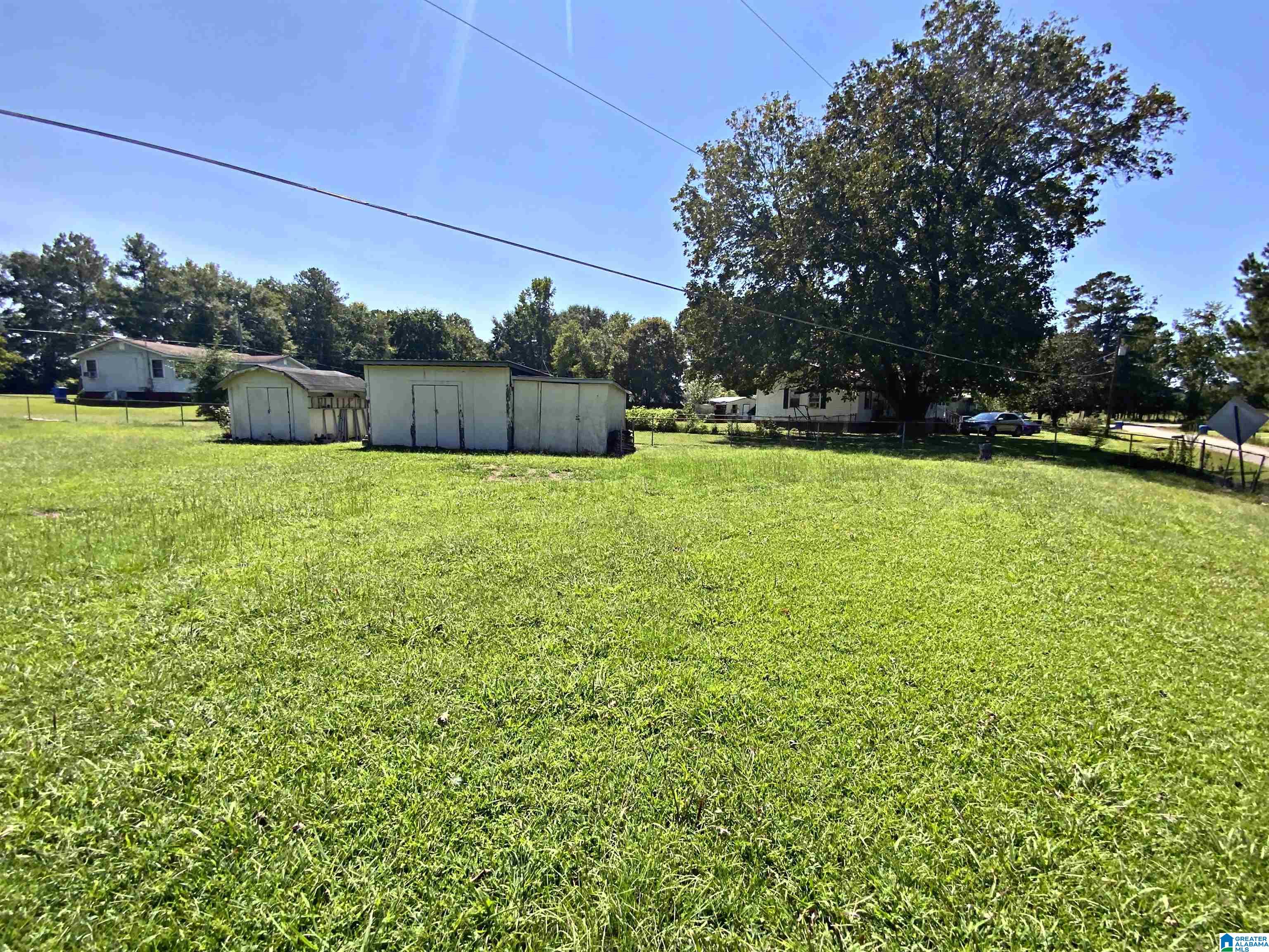 1733 Steinburg Road Piedmont, AL 36272 - Photo 8 of 42