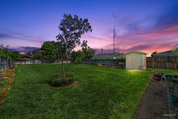 a view of yard with grass & palm trees