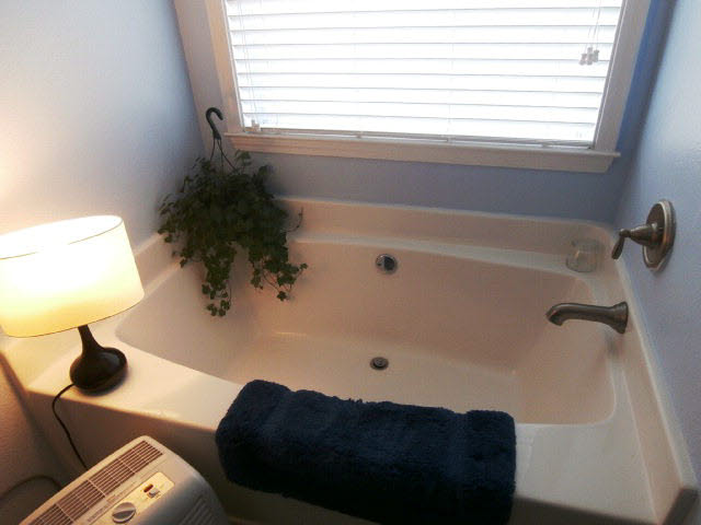 10506 Fionn Loop Daphne, AL 36526 - Photo 19 of 29 Garden Tub