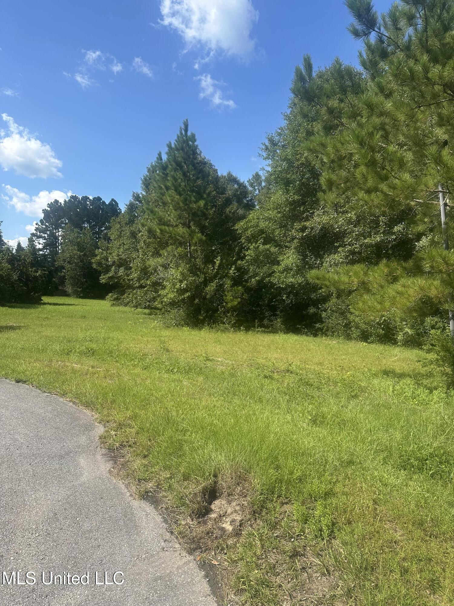 Jeremy Lane Vancleave, MS 39565 - Photo 4 of 10 IMG_7962