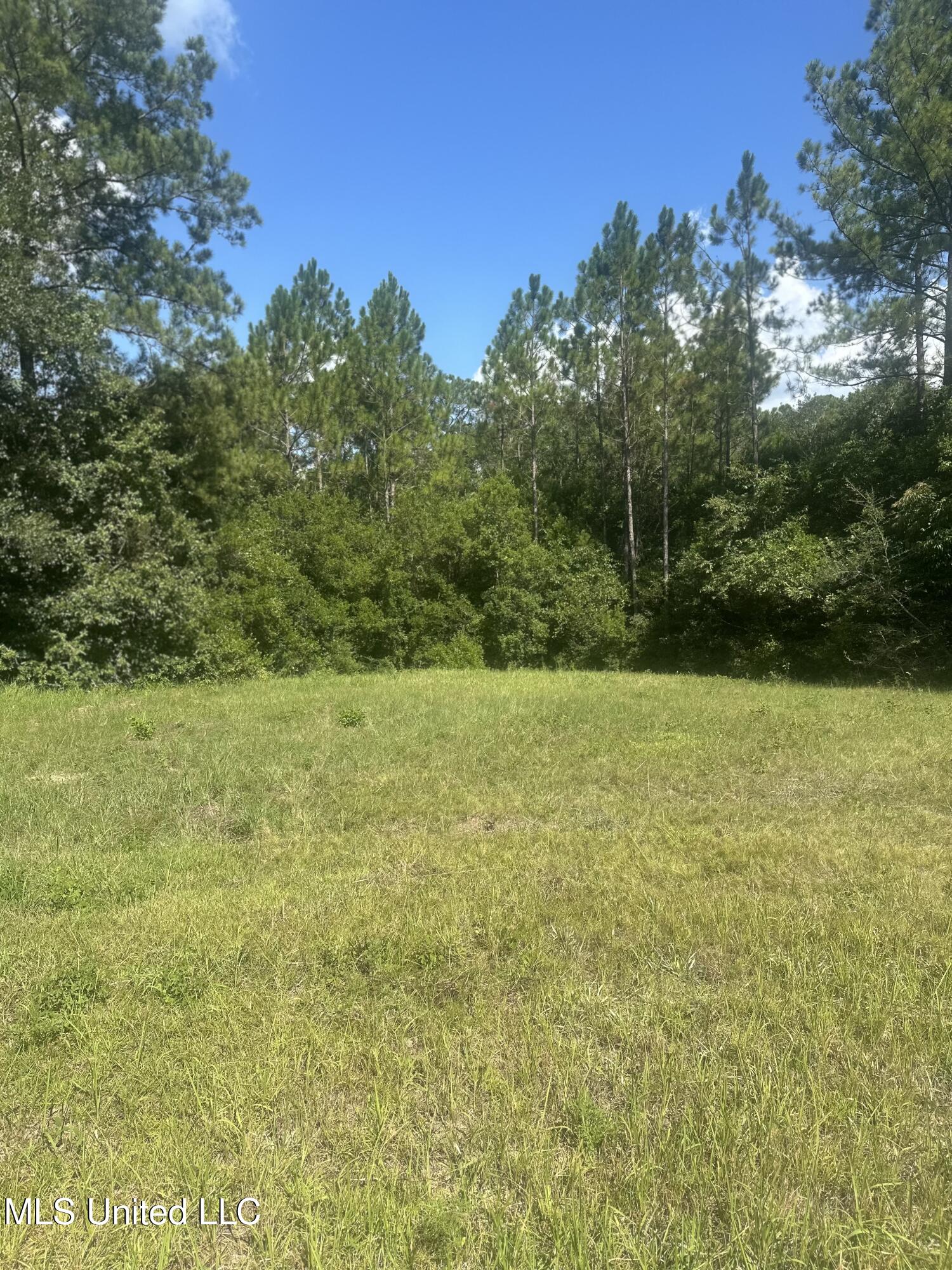 Jeremy Lane Vancleave, MS 39565 - Photo 5 of 10 IMG_7963