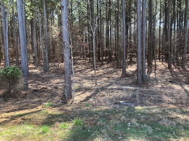Lot 30 Crow Road Dalton, GA 30721 - Photo 1 of 4 IMG_7557